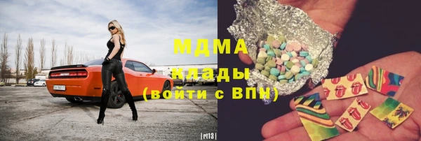 гидра Богданович