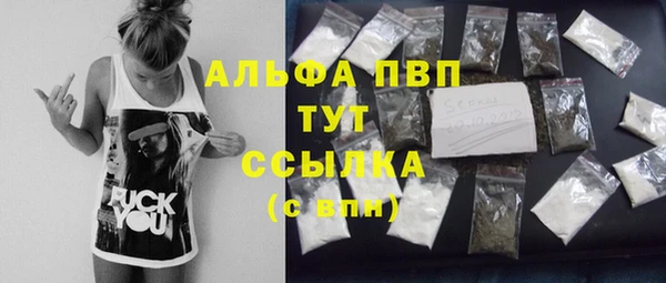 гидра Богданович