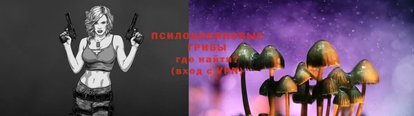 PSILOCYBIN Инсар