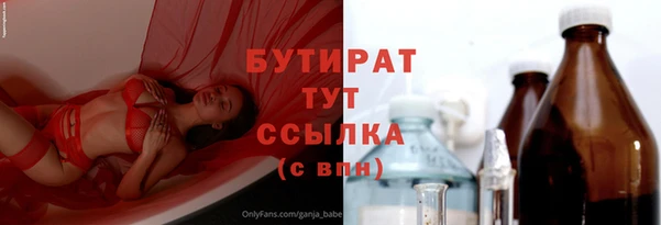 гидра Богданович