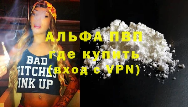 гидра Богданович