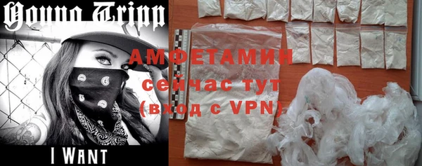 гидра Богданович