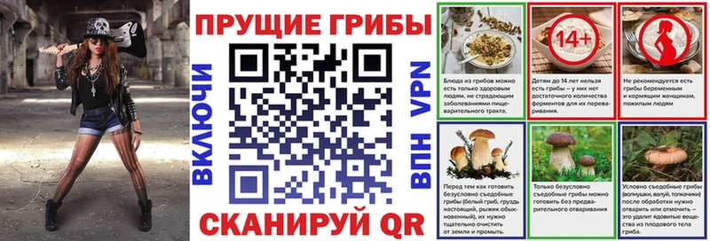 сайты даркнета формула  Буй  Галлюциногенные грибы MAGIC MUSHROOMS 